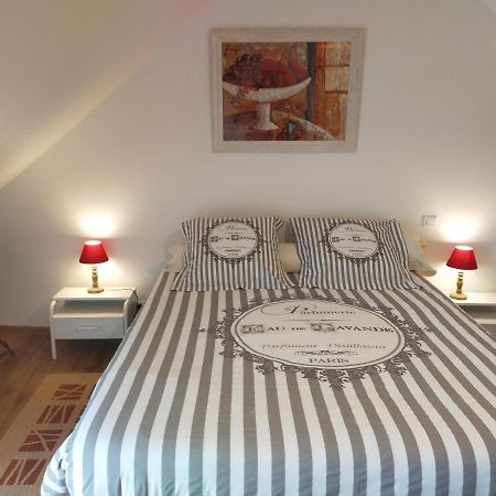 gite l'opale Lailly-en-Val Extérieur photo