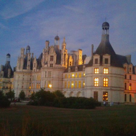 gite l'opale Lailly-en-Val Extérieur photo